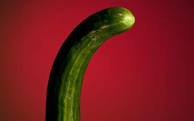 This is a photo of a cucumber.