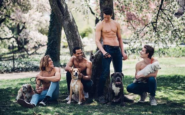 These Models Want You to Adopt an Adorable Pooch