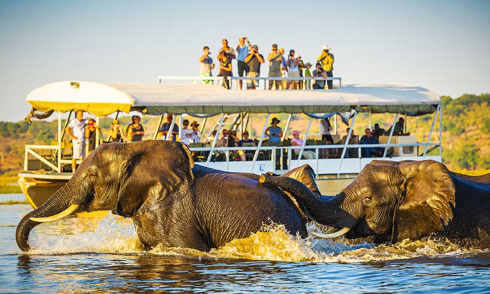 Elephants and tourists in Botswana