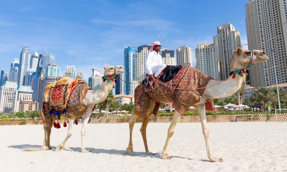 Dubai anti gay travel