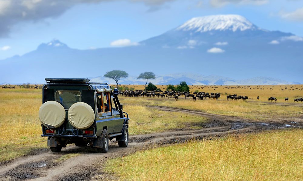 Safari game drive with the wildebeest, Masai mara reserve in Kenya, Africa