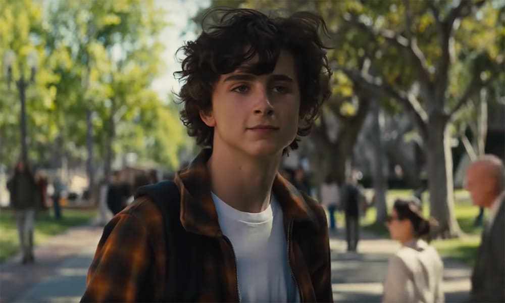 Timothée Chalamet Plays a Teen Meth Addict In 'Beautiful Boy'