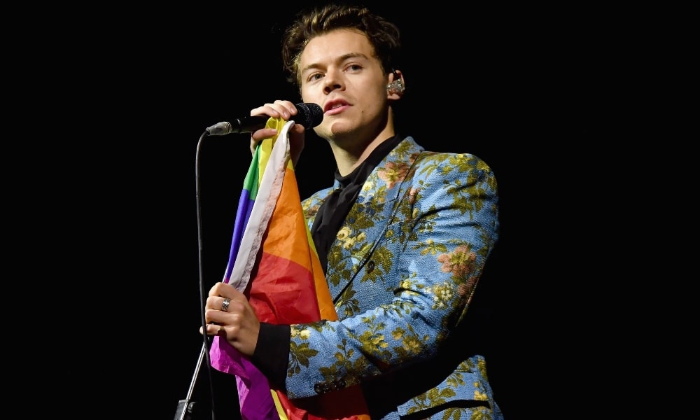 Harry Styles Fan Suing A Famed Concert Venue After His Concert