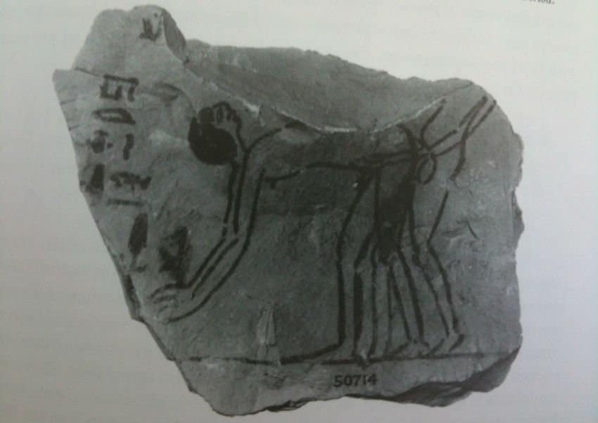 A Ramesside period ostracon, depicting two men in coitus