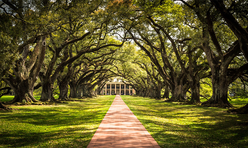 New Orleans Plantation