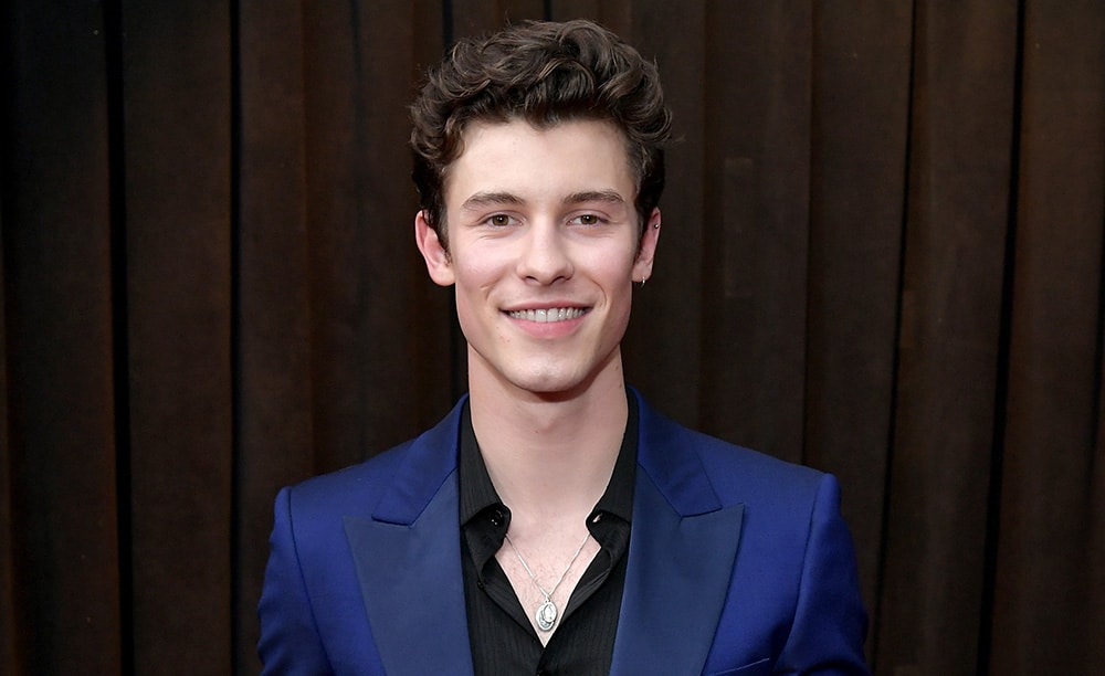 Shawn Mendes attends the 61st Annual GRAMMY Awards