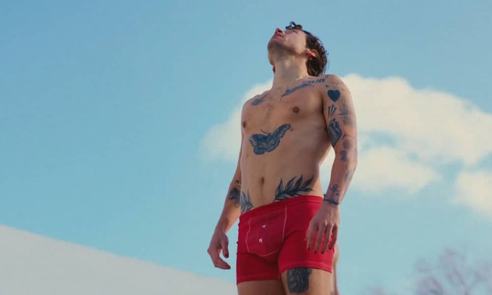 Harry Styles Gets Candid on Filming Gay Sex Scenes