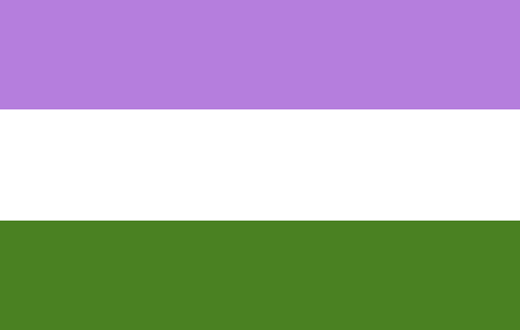 The Genderqueer Flag