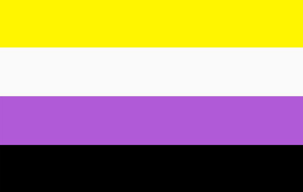 The Non-Binary Flag