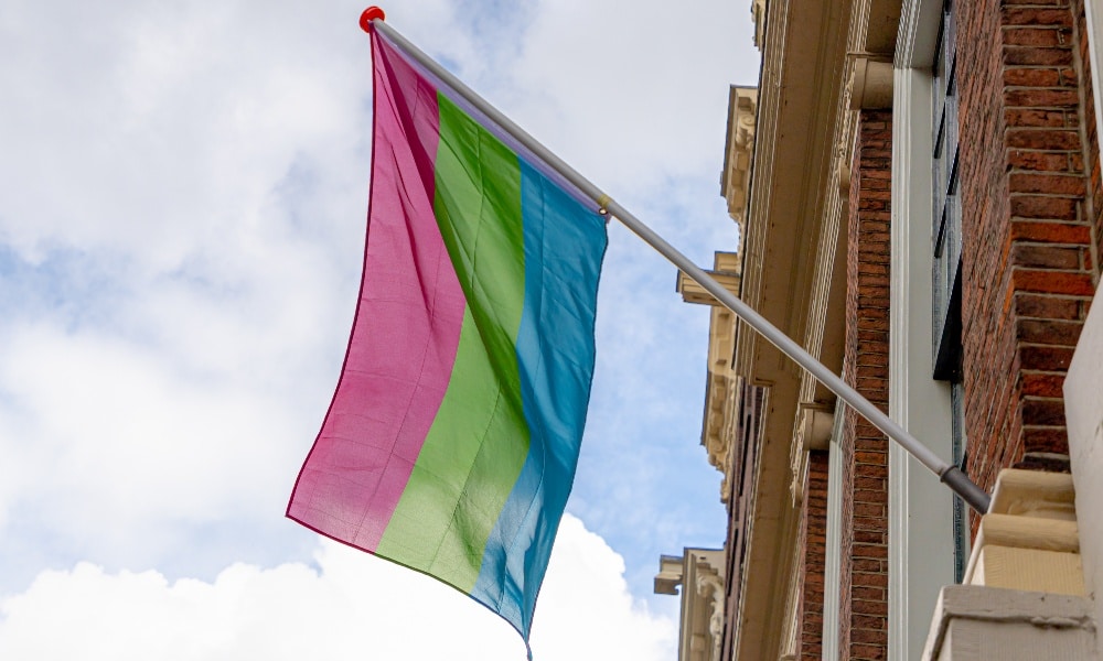 What Is the Polysexual Flag?