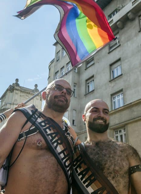 Mr. Bear Budapest Hungary Pride