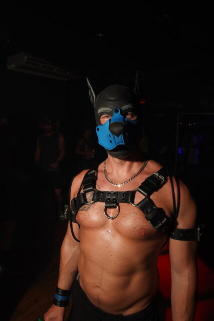 Sniffies and the Tom of Finland Foundation celebrated Bear Week 2026 in Provincetown with exclusive merch, DJs, queer art and a limited-edition collaboration.